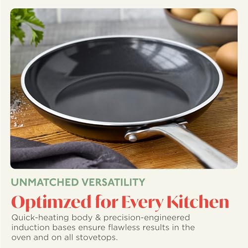 Orfeo 9.5” Nonstick Frying Pan (9.5" Frying Pan Skillet / Black)