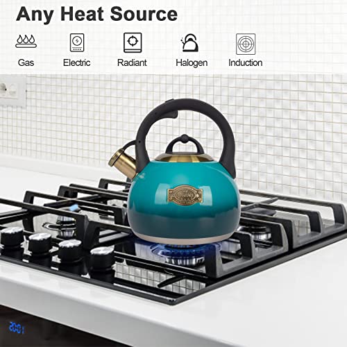 Tea Kettle Stovetop Whistling Kettle Teapot (Blue)