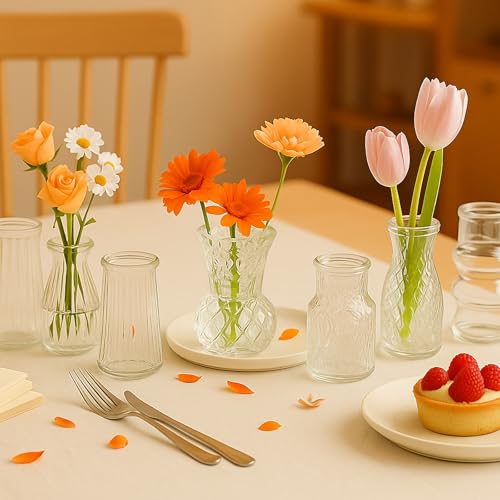 Glass Bud Vase Set of 10 Pcs