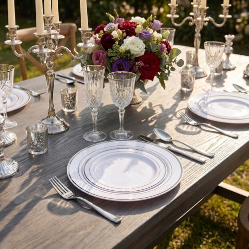 102 Pcs Silver Plastic Plates (102 Pieces / Silver)