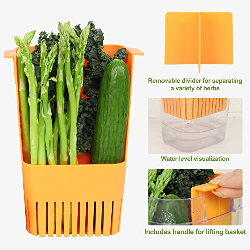 Fresh Herb Keeper for Refrigerator (Herb Keeper - Green & Orange)