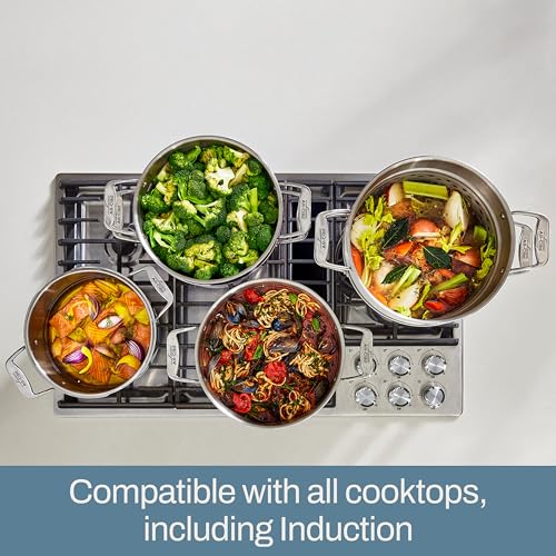 Simply Strain Stainless Steel 16 Qt Stock Pot with Strainer Insert (16-quart (Induction))