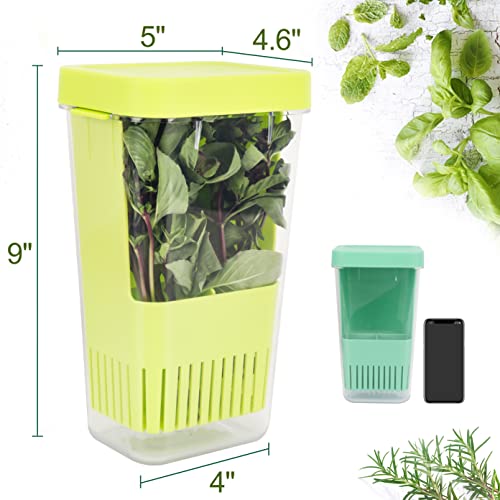 2 Pack Herb Keeper (Herb Keeper - Green & Blue)
