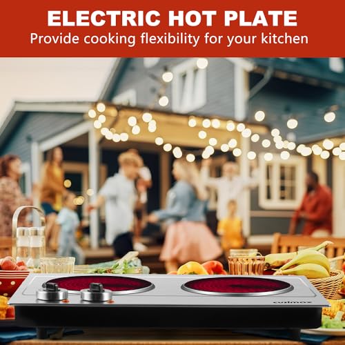 Hot Plate for Cooking (Infrared Silver / Double)