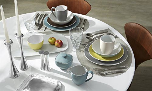 Bend 45 Piece Flatware Set (Bend)