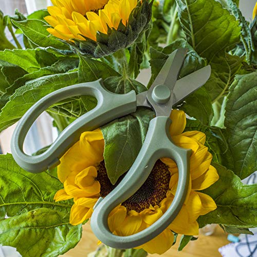 Flower Scissors (Green Slender 2pics)