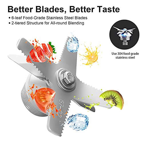 Professional Blender (Black Pearl)
