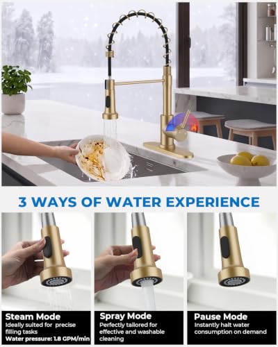 Utility Sink Faucet with Sprayer (Gold)