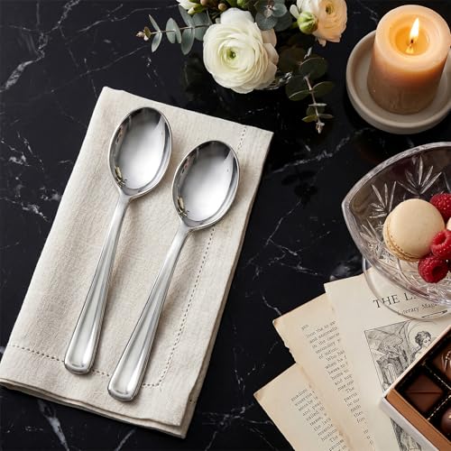100 Pack Silver Plastic Spoons Disposable (Silver Spoons / 100)
