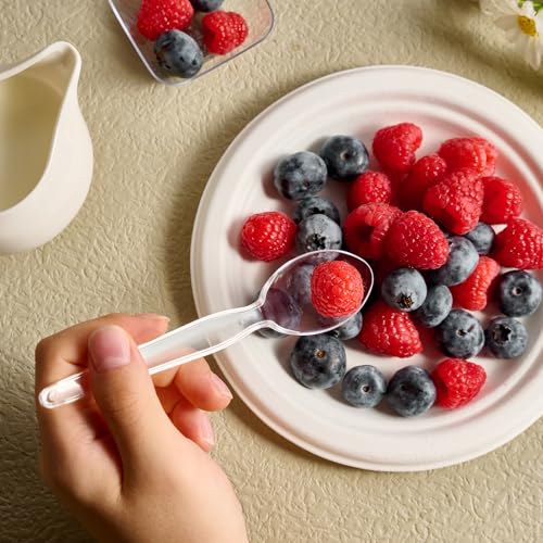 300 Count] Clear Plastic Spoons (Clear / Spoon)