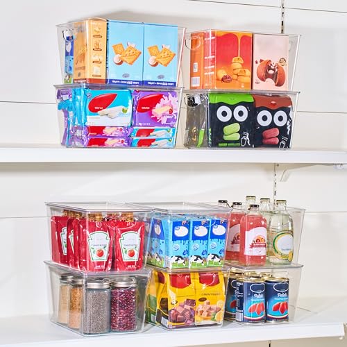 Large Clear Storage Bins with Lids (8 Count)