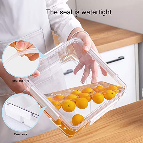 Snackle Box Container (Square / White-4 Compartments)