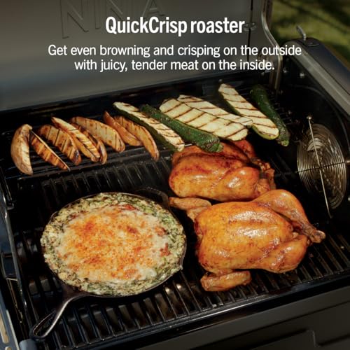 FlexFlame Grill & Smoker (Black)