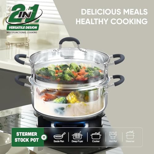 2 Tier Stainless Steel Steamer Pots