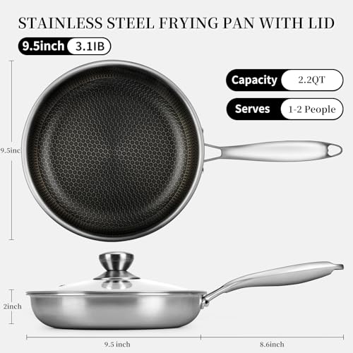 Stainless Steel Frying Pan with Lid (9.5 Inch)