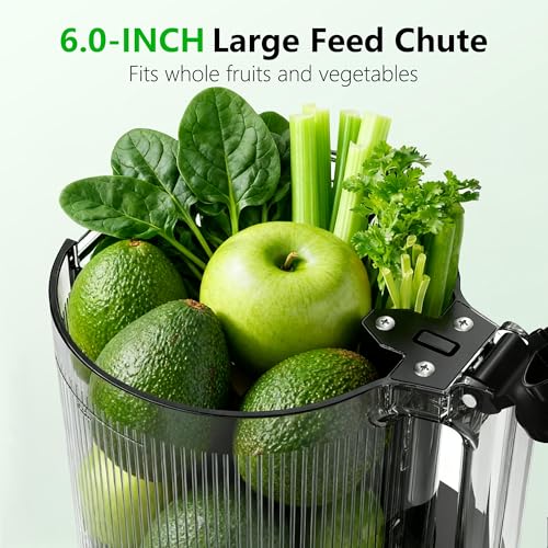 Cold Press Juicer (Grey)
