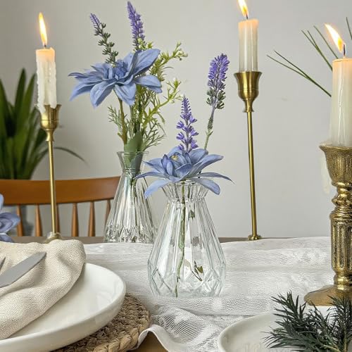 Glass Bud Vase Set of 5 Pcs Small Minimalist Vases for Flowers (Clear)