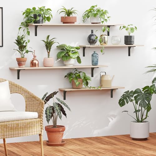 Long Wall Shelves (Natural / 55.1 Inch)