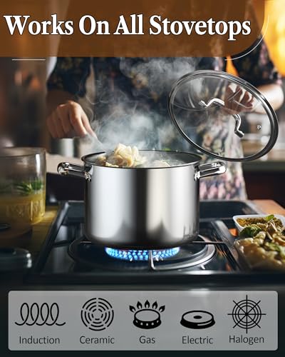 8 Quart Tri Ply Clad Stainless Steel Stockpot with Lid (8 Quarts / Silver)