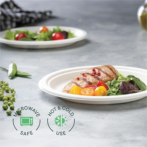 100% Compostable Paper Plates 9 Inch [500 Count] Heavy (9 inch Round -- 500 Pack)