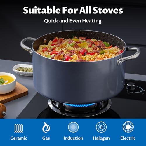 6 Quart Nonstick Stock Pot with Lid