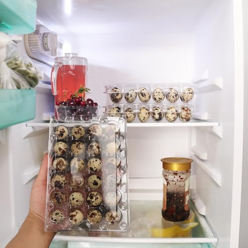 120 Pack Quail Egg Cartons (120 Pack Quail Egg Cartons 24 Grids)