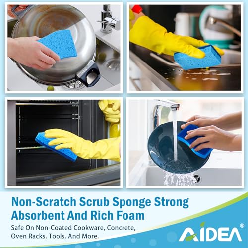 Sponges Kitchen (12 Count)