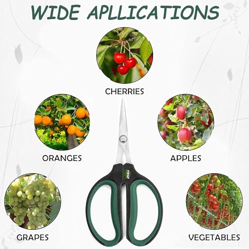 Hydroponic 2 Pack Bonsai Scissors and Plant Trimming Shears Set