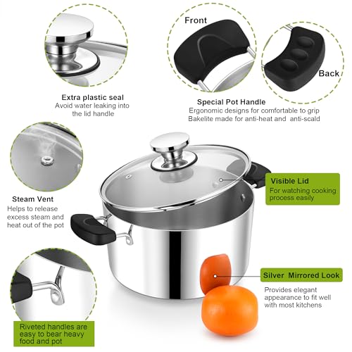 5 Qt Pot with Lid (5 Quarts)
