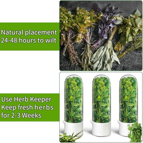 Herb Saver for Refrigerator (Herb Keeper(2Pack))