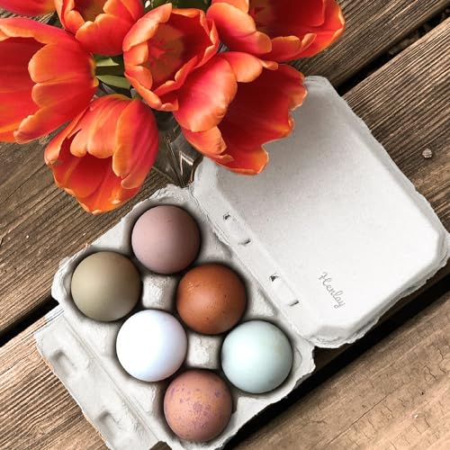Half Dozen Blank White Egg Cartons (White / 20)