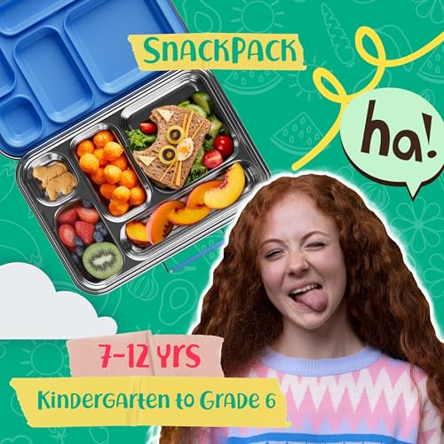 Stainless Steel Bento Box Kids