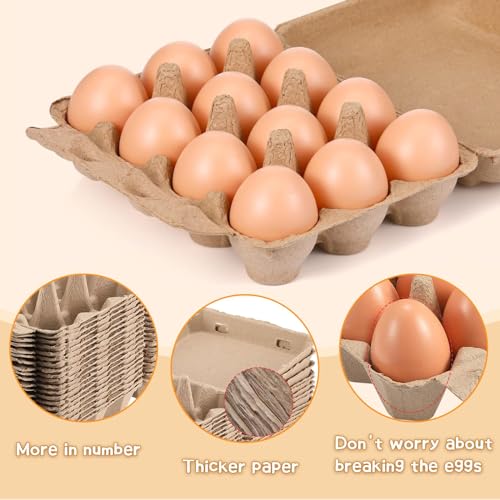 Egg Cartons 20 Pack