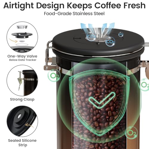 Coffee Canister with Window (Gradient Copper / 22 oz)