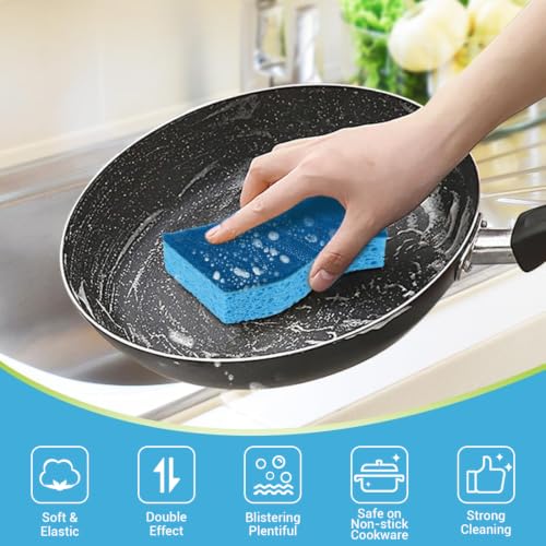 Sponges Kitchen (Blue)