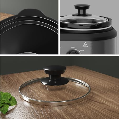 Dual Slow Cooker