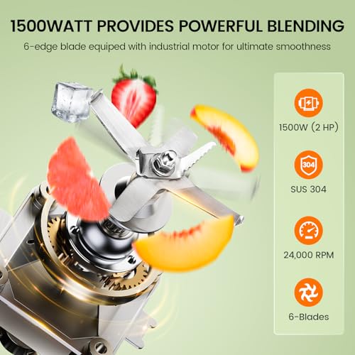 Professional Commercial Blender