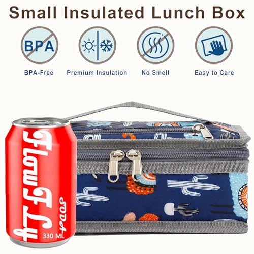 Small Insulated Lunch box Portable Soft Bag Mini Cooler Thermal Meal Tote Kit with Handle for Work & School