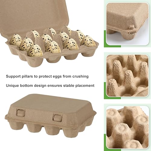 30 Pcs Quail Egg Cartons Paper Pulp Egg Basket (30 Count)