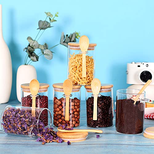 Glass Jars with Bamboo Lids and Spoon Set of 6 (Round/17oz*6/Bamboo Lid)