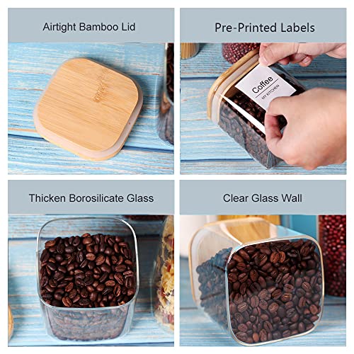 Glass Storage Canister with Wooden Lid (Square -7Pack)