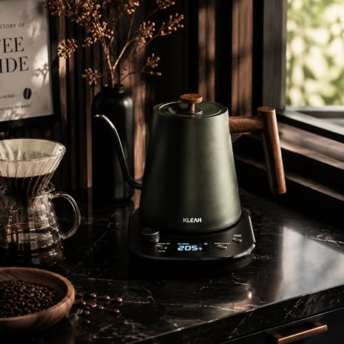 Gooseneck Electric Kettle with Temperature Control (Green)