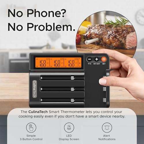 750ft Wireless Meat Thermometer Long Range for Smoker (3 Probe Black)