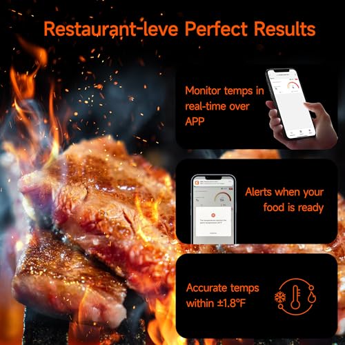 Wireless Meat Thermometer