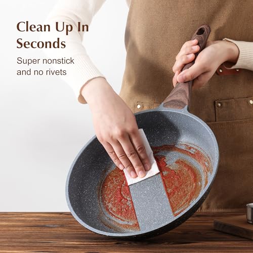 Nonstick Frying Pan Skillet (9.5 Inch / Gray)
