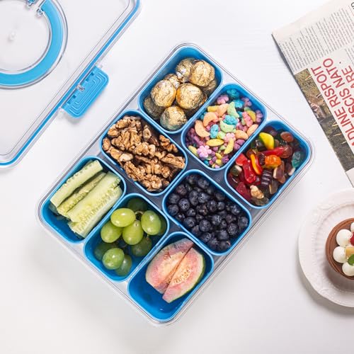 Divided Serving Tray with Lid and Handle (Cerulean-1 Pack)
