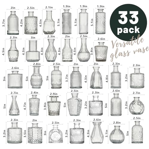 Glass Bud Vase Set of 33 Pcs Small Minimalist Vases for Flowers (Clear)