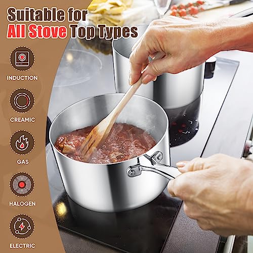 Triply Stainless Steel Saucepan Set (1QT & 3QT)