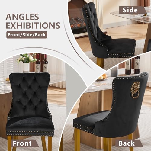 Black Velvet Dining Chairs Set of 2 (Classic Black)