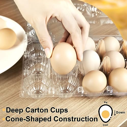 40 Pack Egg Cartons (Medium-40PK-18CT)